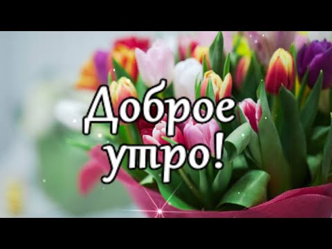 Доброе утро! Я дарю вам цветочный океан! Красивая музыкальная открытка