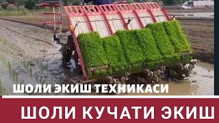 ШОЛИ КУЧАТИ ЭКИШ ТЕХНИКАСИ