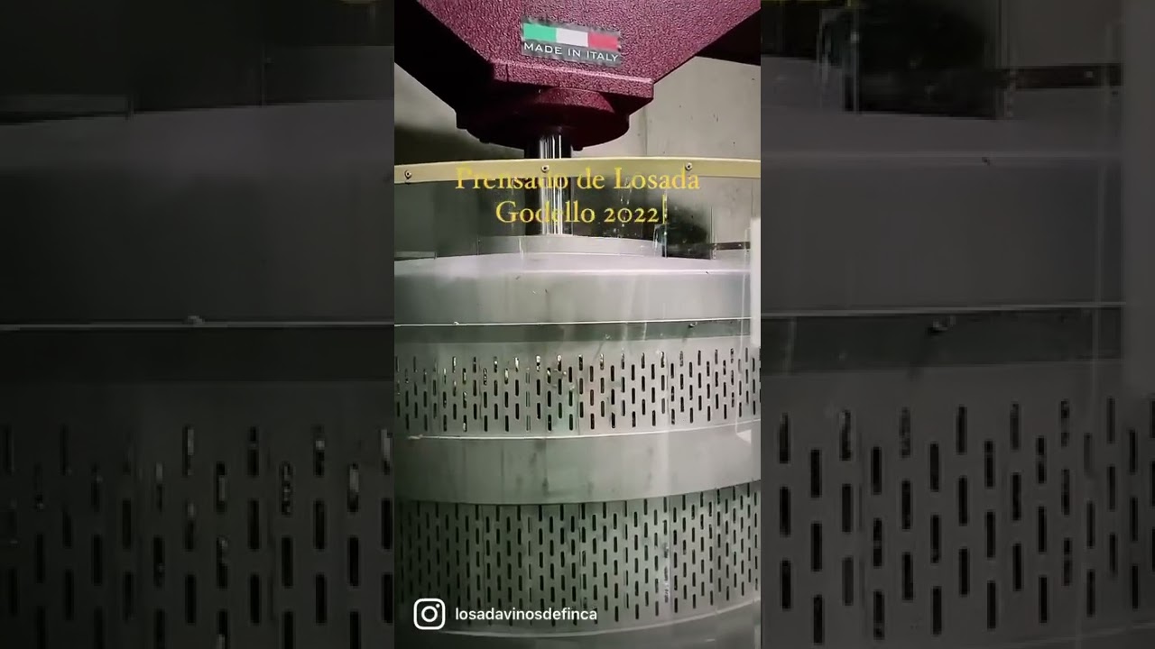 Vendimia 2022 . Prensado de nuestro Losada Godello 2022