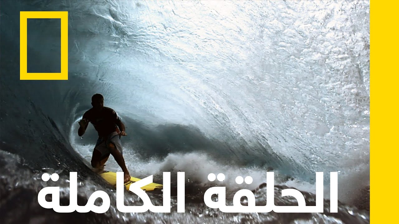 حلقة كاملة | أضواء المحيط | ناشونال جيوغرافيك أبوظبي