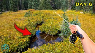 Catching trout out of a PUDDLE?? (Fly Fishing)