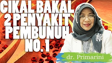 A-Z Kolesterol Tinggi - HDL, LDL, Trigliserida, dan Kolesterol Total