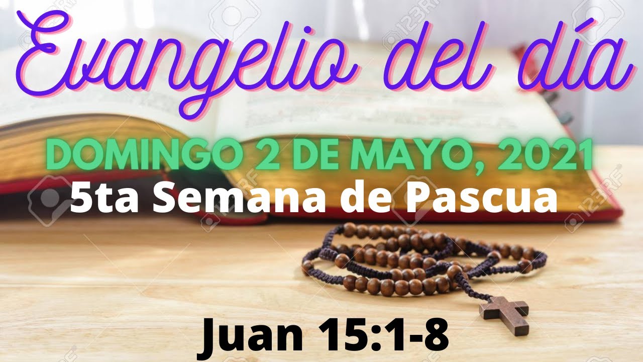 Evangelio del Domingo 2 de Mayo, 2021 - Juan 15:1-8 - YouTube