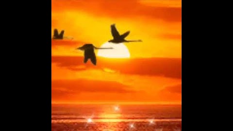 Samsung SGH-S300M Startup and Shutdown Animation