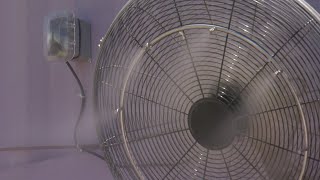Misters myth: Are they illegal in Albuquerque?