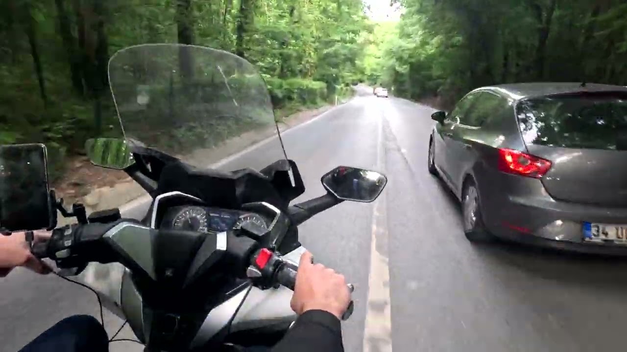 II ORMAN YOLU MANZARA VLOG II P 1