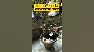 गुप्त नवरात्रि पर करें 2 महाशिवलिंग का निर्माण | प्रदीप_मिश्रा_जी | #navratri #shivling #parvati