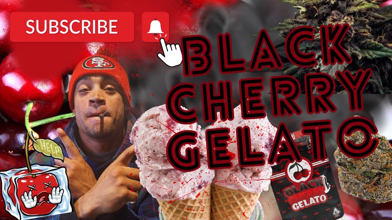 The Apex Predator Black Cherry Gelato