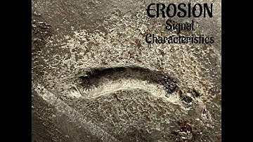 ASNT UTT ISQ Training Series Volume 2 - Erosion