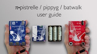 Pipistrelle / pippyg / BatWalk user guide