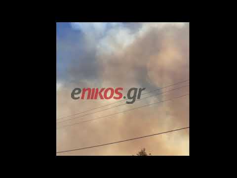 enikos.gr -Κατευθύνεται προς Ντράφι η φωτιά