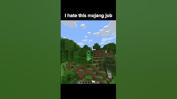 I hate this mojang job 😭💀