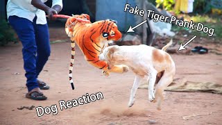 Wow Big Pranks 2024!!! Fake Tiger Prank Dog So Funny Pranks Try To Stop Laugh