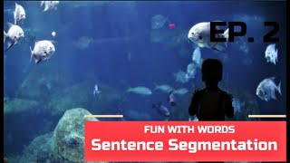 Fun with Words and Sentence Segmentation 2
