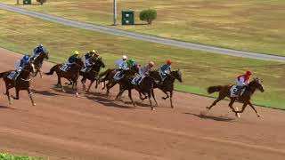 Vidéo de la course PMU PRIX DE LONDRES