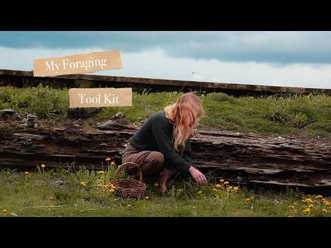Everything In My Foraging Tool Kit
