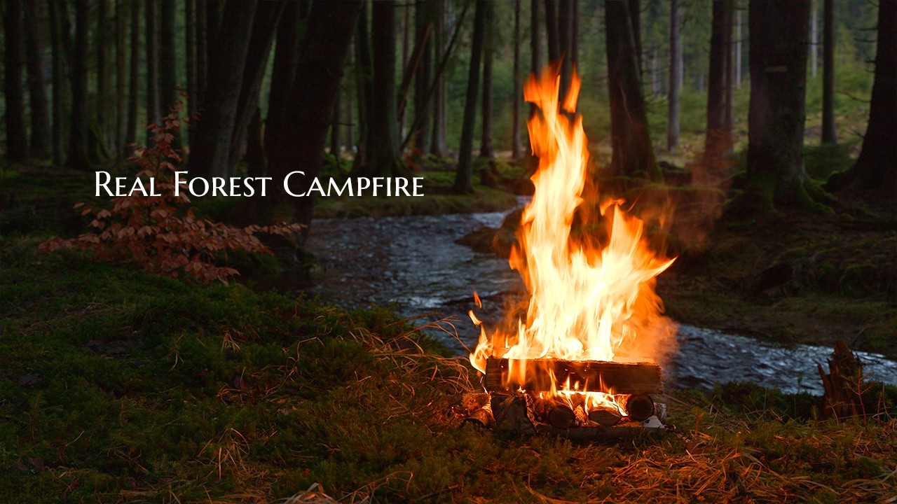 4K 📺 Ночной костер у лесного ручья 🔥 Без стресса, просто расслабьтесь
