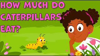 I Wonder How much do Caterpillars Eat | Caterpillars Facts for Kids | Fun Facts about Caterpillars
