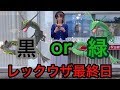 【ポケモンGO】レックウザ最終日・・・運命の時。