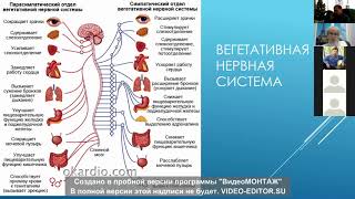 Сурина Марышева Е.Ф.  Функциональная оценка