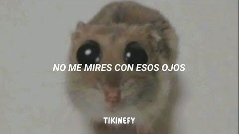 No me mires con esos ojos||Enjambre - Impacto (Letra)