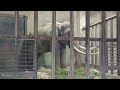 2026.04.19 17:00 マック 閉園（※Tさん撮影）