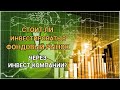 Стоит ли инвестировать в фондовый рынок через инвест-компании?