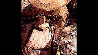 Cronos Had No Chance Against Kratos #gaming #shorts