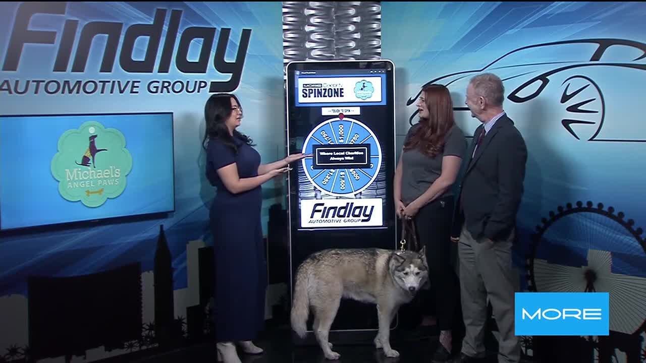 Michael's Angel Paws Kicks Off the April Celebrity Spin Zone