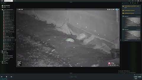 DataLibrary - Rat & Rodent Detection