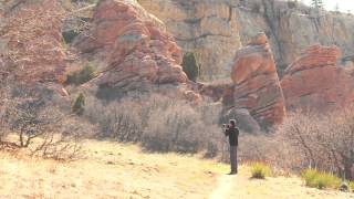 The Importance of Light in Photography