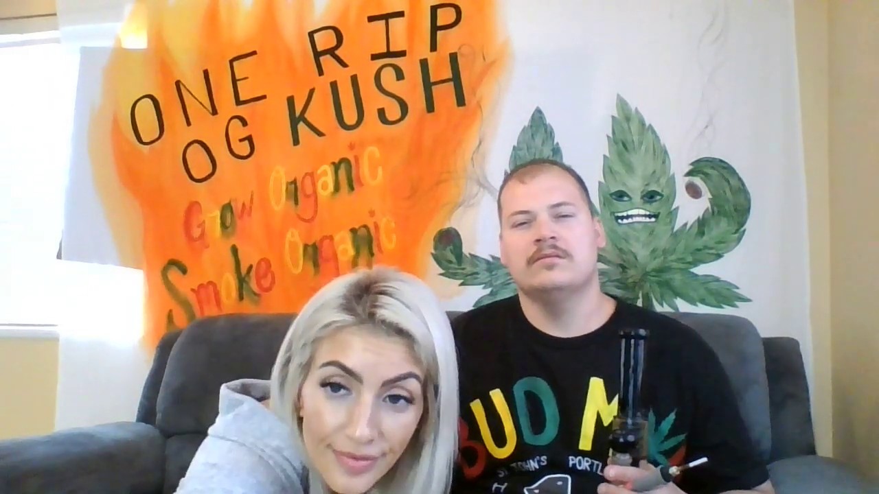 One RIP OG Marijuana Grow Tips and Reviews PURPLE PUNCH Archive Seed strain