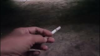 Salwaliya belut viral tiktok. ini fakta nya