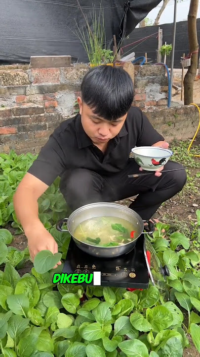 IT'S BETTER TO PICK FROM YOUR OWN GARDEN THAN STEALING⁉️ #shorts #trending #viral #youtubeshorts