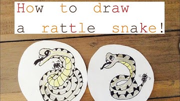 How to draw a rattle snake!!! Step-by-step drawing tutorial!