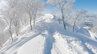 野沢温泉 ひたすらパウダー 2021.1.20 | Nozawa Onsen | Snowboarding & Skiing | GoPro HERO9 & MAX | 4K