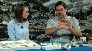 What Tiny Fossils Explain about Big Dinosaur Ecosystems with Dr. Matthew Carrano