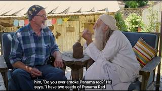 Smokin' With Swami: Terry Haggerty ~ Classic Cultivars, Counter-Culture & Consciousness / Ganjier
