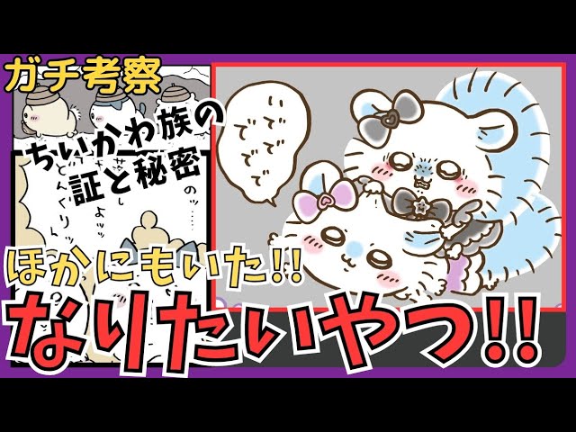 Serious Analysis of Chiikawa] It's not just flying squirrels