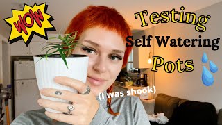 Testing Out Affordable SelfWatering Pots (soil, pon, & leca) | Set Up + Results!