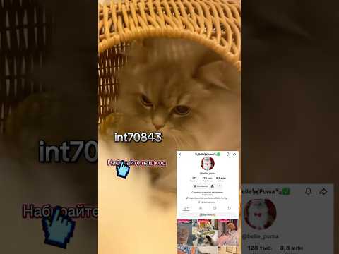 Все для кошек на сайте Temu #cat #веселыекоты #relax #catlover #прикольныекоты #cute #милота #кот