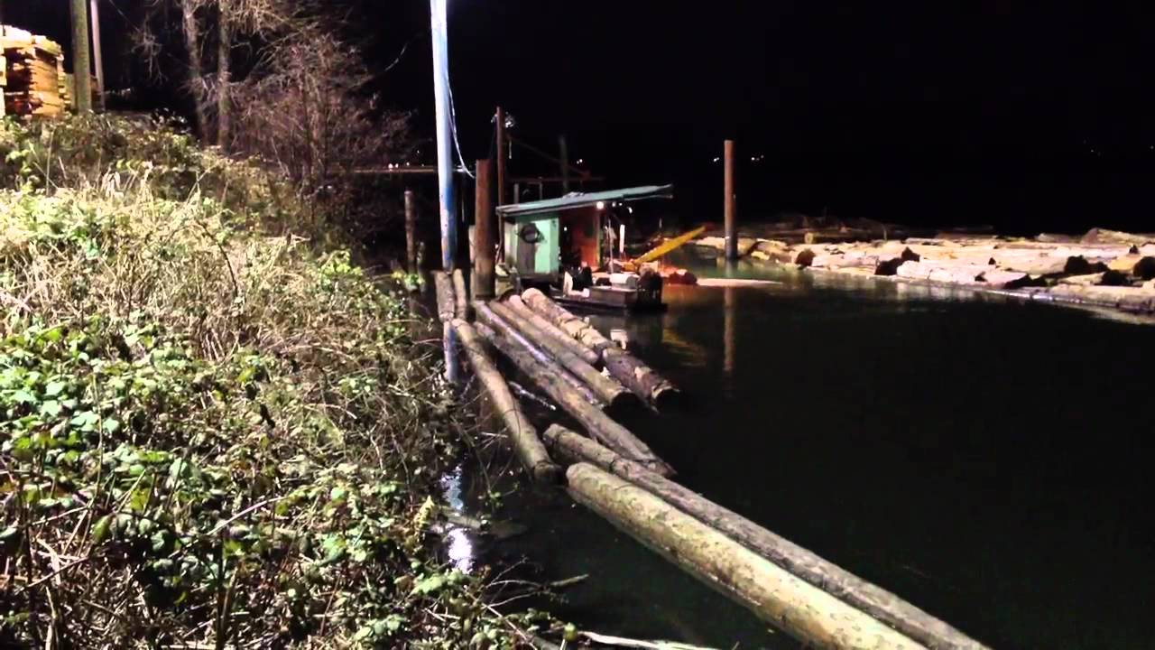 Splitting oversize red cedar on the river at night