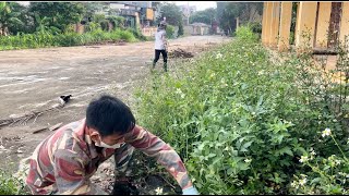 Clean up and restore the sidewalk full of weeds and firewood for the neighbor