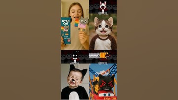 Incredibox Sprunki OC - Nyan Cats X Maxwell Cat X Pop Cat In Real life!