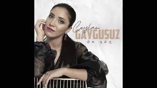 Ceylan Gaygusuz - Divaneyim Resimi