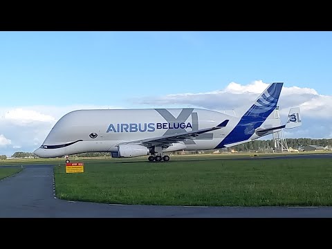 How To Text Women (@thealphamalestrategiesshow)