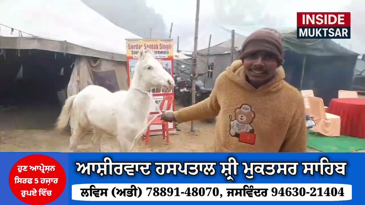 मुक्तसर लंबी ढाब पशु मंडी में आया है दो करोड़ रुपये का घोड़ा, नाम है शिवराज