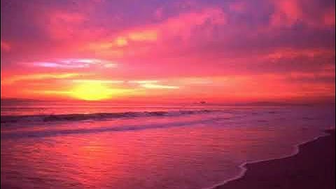 قران كريم وأطيعوا الله وأطيعوا الرسول فإن توليتم فإنما على رسولنا البلاغ المبين | الآية 12 من سو@#