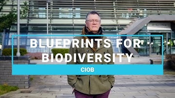 Blueprints for Biodiversity | Stride Treglown | The Nature of Building