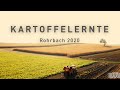 Landwirte Eppingen - Kartoffelernte in Rohrbach bei Eppingen